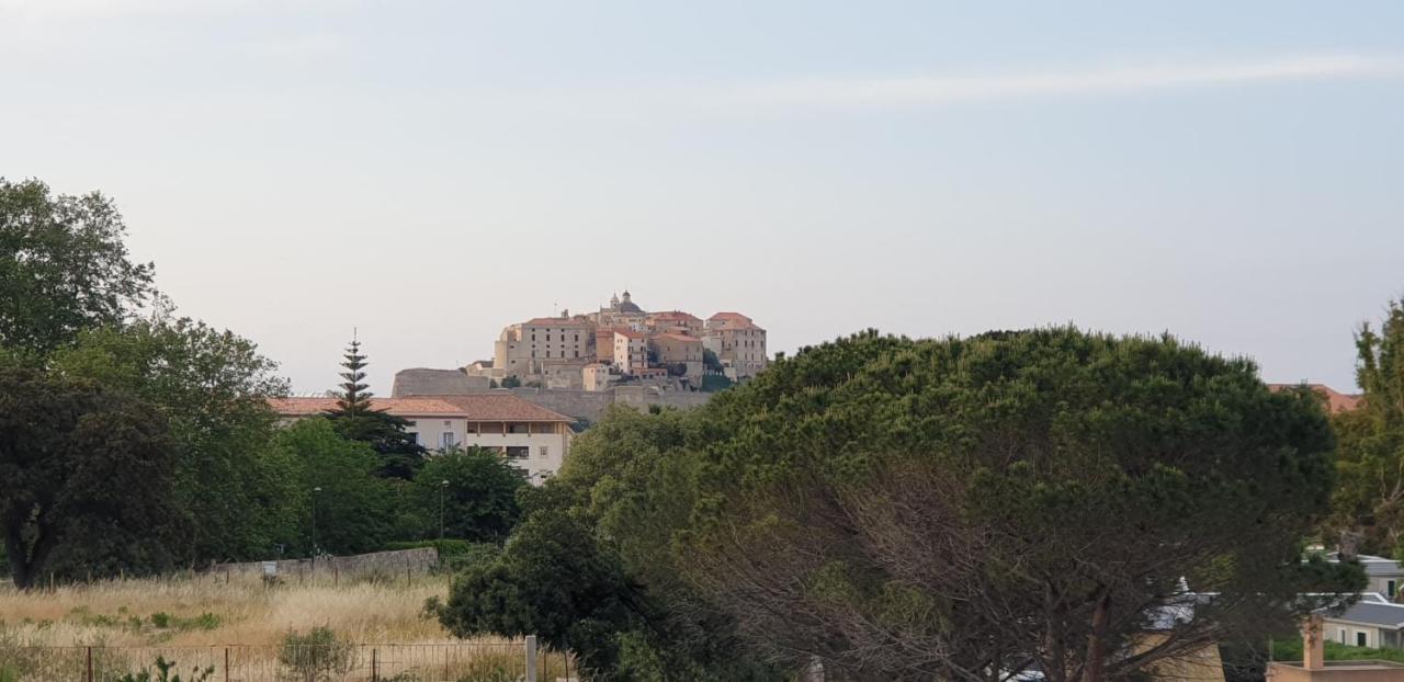 Très Bel Appartement,proche Et Centre Ville. Appartement Calvi (Corsica)